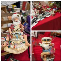 PXL_20251116_200441281-COLLAGE.jpg (760 KB)