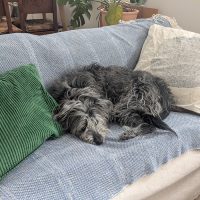 PXL_20260125_180305005(1).jpg (438 KB)