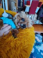 IMG_20260204_082604520_HDR.jpg (1 MB)